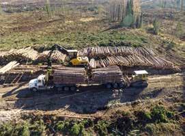 LOGGING EQUIPMENT We have a full line up of log harvesting equipment, including bunchers, skidders, processors, crawlers, log loaders,
