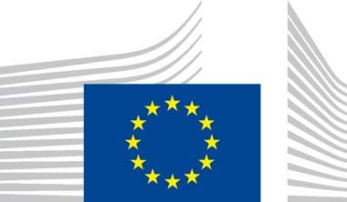 EUROPEAN COMMISSION INTERNAL MARKET, INDUSTRY, ENTREPRENEURSHIP AND SMEs DIRECTORATE-GENERAL Sustainable Growth and EU 2020 Sustainable Mobility and Automotive Industry Working Group