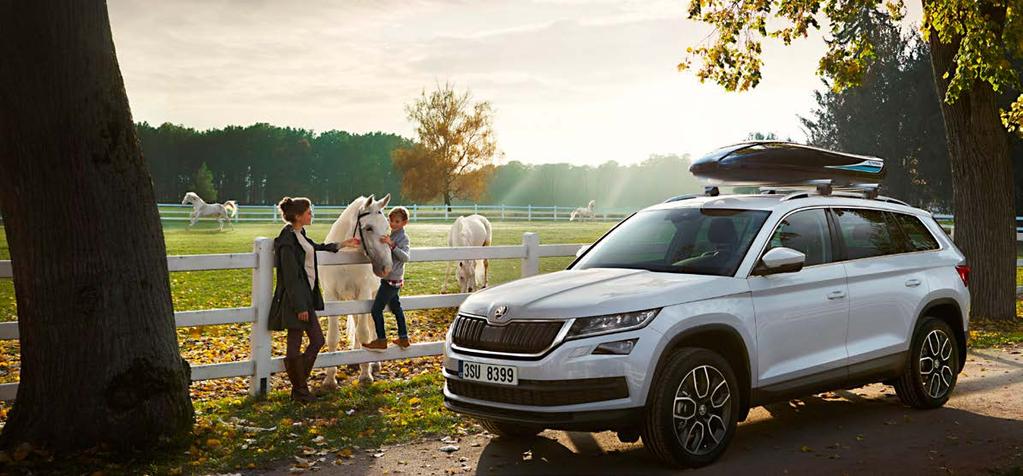 SALES INFORMATION ON KODIAQ Dear business partners, We would like to inform you about