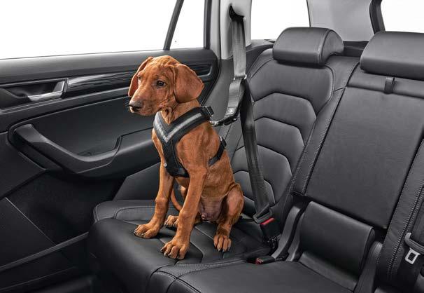 Dog safety belt - size S 000 019 409A ŠKODA OCTAVIA III ŠKODA FABIA III ŠKODA SUPERB III ŠKODA CITIGO ŠKODA RAPID ŠKODA YETI Material: Woven harness, metal clasps and carabiners Safety Protection