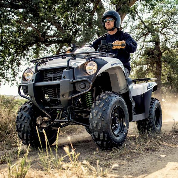 BRUTE FORCE 300 Making light work of hard tasks, the entry-level Brute Force 300 has features you d expect from a much larger and more expensive ATV.