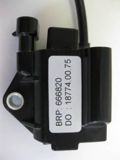 Ignition coil with separate electronic box ECU: Only units marked 666812 or 666813 are permitted.