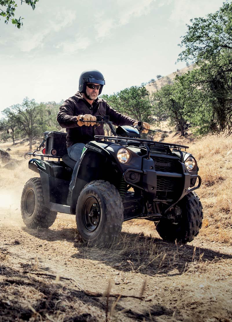 BRUTE FORCE 300 Making light work of hard tasks, the entry-level Brute Force 300 has features you d expect from a much larger and more expensive ATV.