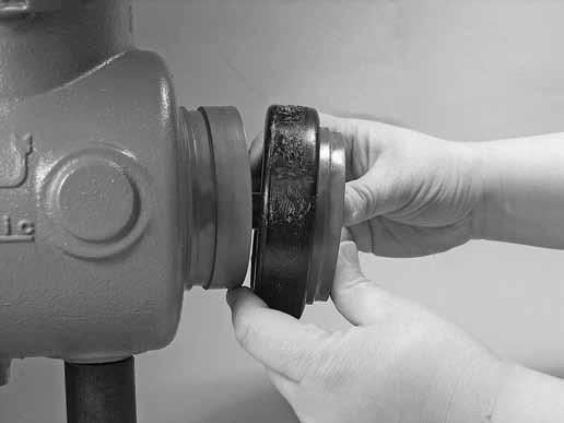 CLEANOUT/SERVICING WARNING End cap or drain tap may be under pressure. Depressurize and drain the piping system before attempting to remove the end cap or drain tap.