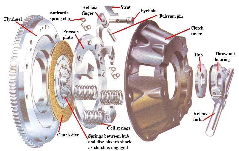 The clutch and the drive line both have their own unique symptoms and noises, separate