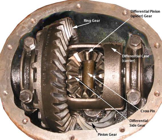 The main wear components in an open differential when one wheel travels faster than the other