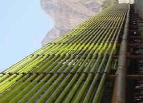 Algae Biofuels Can use wastewater, CO 2