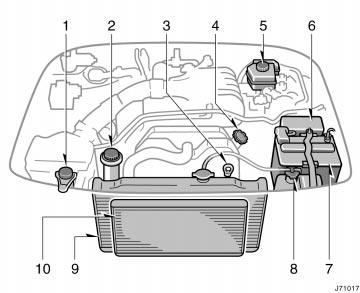 Engine compartment overview 1. Windshield and back window washer fluid tank 2. Power steering fluid reservoir 3.