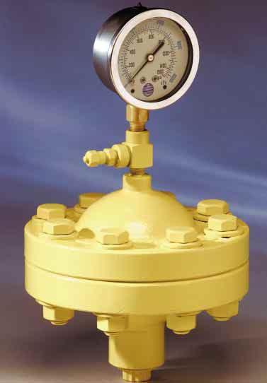 Pulsation ampeners Minimize pressure and flow surges in the pump discharge.