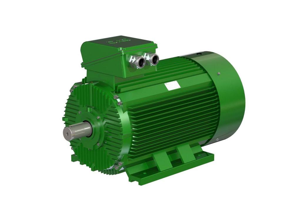 CAG Electric Machinery HGLIE2 series THREE PHASE ASYNCHRONOUS MOTORS WITH SQUIRREL CAGE Introduction Motors HGL IE2 with cast iron frame offers increased power output with reduced power consumption.