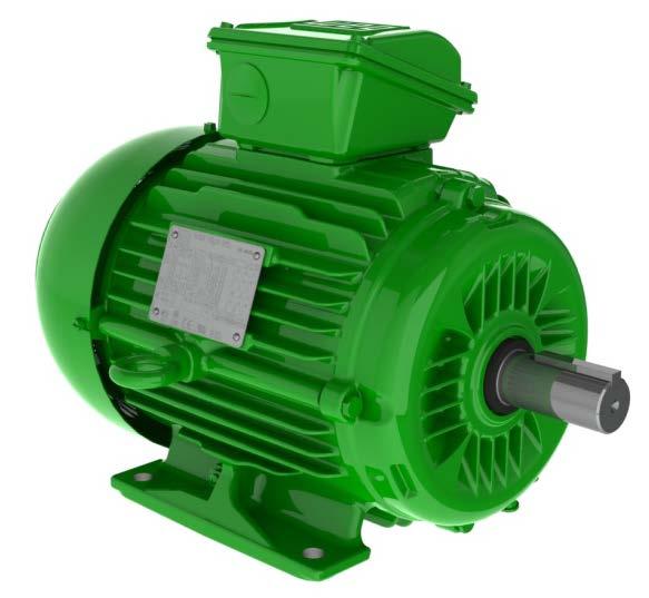 Line Start PM motors (LSPM) Hybrid motor with squirrel cage rotor fitted with high energy permanent magnets making it