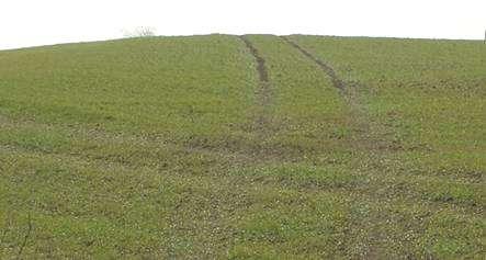 Tramline management Cross drain with mole plough OR Runoff