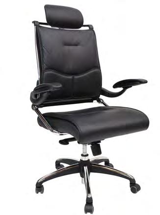 Office Chairs TEKTRON DIRECTOR Seat: Leather Back: Leather Base: