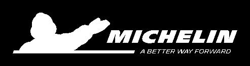 JANUARY 22, 2019 MICHELIN ACQUIRES MULTISTRADA, THEREBY