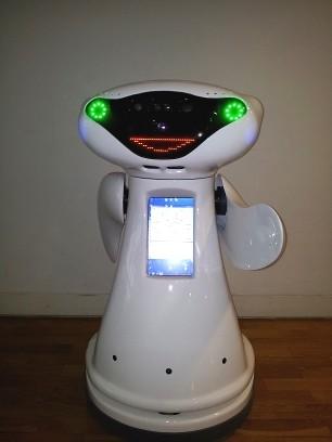 The PO robot is depicted in Fig. 46.