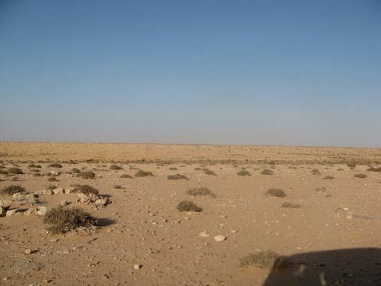 Looking eastwards down into the wadi Rugbet en-nbeidat, the valley that curls left to right across