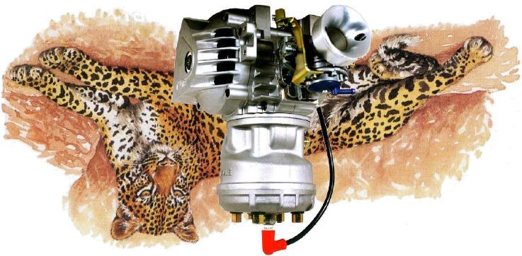 125cc LEOPARD TaG engine 2003 ASSEMBLY