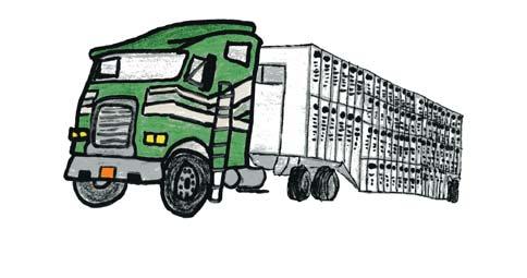 Cows are put into a truck called a LIVESTOCK HAULER and taken to