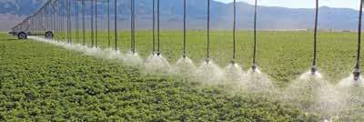 LDN LEPA & CLOSE SPACING QUAD SPRAY Close Spacing FOR OPTIMUM RESULTS, FIELDS WITH CLOSE SPACING SHOULD INCORPORATE Tight spacing - 40 inches or less between applicators Sprinkler height - 8 to 18