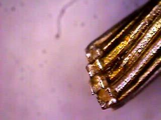 The copper migrates through the silver to react with the tin (found in the solder) to form