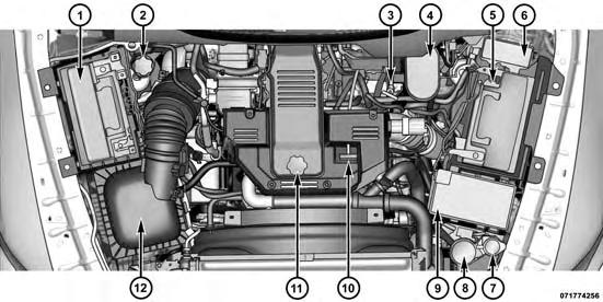 288 MAINTAINING YOUR VEHICLE ENGINE COMPARTMENT 6.