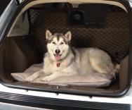 Made of durable Black nylon, our Vertical Convenience Net helps keep your pet from entering the rear seat and passenger area.