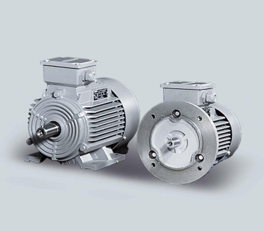 Overview The 1LG series of 3 phase asynchronous motors are Totally Enclosed Fan Cooled (TEFC) with IP55 environmental protection.