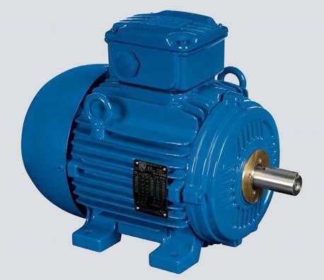 Motors Energy Automation Coatings Cast Iron Frame Motors For Zone 21 Improved Efficiency EFF2 Standard Features: Three-phase, multivoltage, IP66, TEFC : 0.