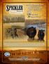 150 Angus Bulls 20 Registered Heifers