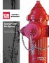 Sentinel 250 Fire Hydrant. Solid design and features to meet any municipal requirement.
