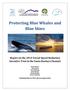 Protecting Blue Whales and Blue Skies Report on the 2014 Vessel Speed Reduction Incentive Trial in the Santa Barbara Channel