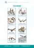 FASTENERS BOLTS AND SCREWS NUTS MACHINE SCREWS WASHERS TAPPING AND WOOD SCREWS CHIPBOARD THREADED RODS AND PINS, RIVETS AND OTHERS ANCHORS