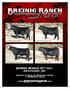 Breinig Ranch Annual Bull Sale