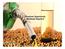 Divesture Opportunity Biodiesel Segment Dezembro, 2017