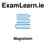 ExamLearn.ie. Magnetism