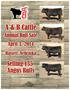 A&B Cattle 24 th Annual BULL SALE Thursday ~ April 3, 2014 ~ 1:00 p.m. at the ranch south of Bassett, Nebr.
