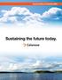 Sustainability at Celanese Sustaining the future today.