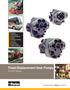 Fixed Displacement Gear Pumps