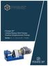 / Pompe 3P Hollow Rotary Disk Pumps Positive Displacement Pumps. Series: M D DN-CN-MN TURBIK