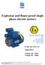 Explosion and flame-proof single phase electric motors