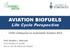 AVIATION BIOFUELS Life Cycle Perspective