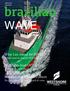 brazilian WAVE What Lies Ahead for PSVs What s next in Brazil s PSV market Highlights from OSV Brazil A round up from the conference
