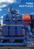Triplex Mud Pumps. The core of drilling innovation