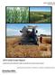 2013 Small Grains Report. Research Bulletin 182 January Southcentral and Southeastern Idaho Cereals Research and Extension Program