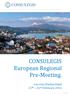 CONSULEGIS European Regional Pre-Meeting.