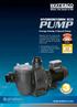 pump Hydrostorm ECo Energy Saving 3 Speed Pump