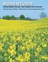 BIODIESEL 2020: Global Market Survey, Case Studies and Forecasts. Multi-Client Study pages - Published October, 2006 by Emerging Markets Online
