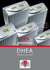 DHEA POWER & SECURITY