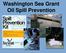 Washington Sea Grant Oil Spill Prevention. Through Education