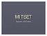 MITSET. System Overview